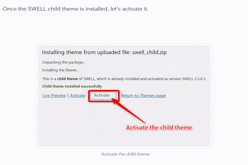 SWELL Themes Install image.png(9)English